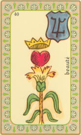 Carte Oracle Belline - Beauté